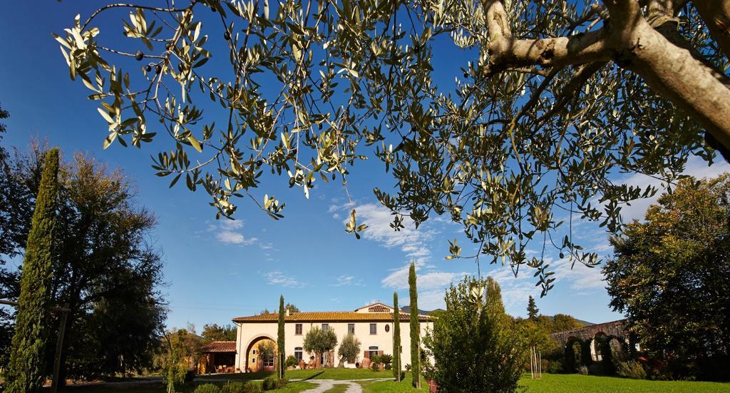 B&B Ai Condotti Di Pisa Da Filippo San Giuliano Terme Luaran gambar